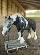 2023 09 september 523