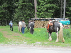 2012 002 pfingstritt hochdorf mai