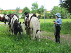 2012 004 pfingstritt hochdorf mai