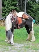 2012 006 pfingstritt hochdorf mai