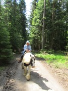 2012 007 pfingstritt hochdorf mai