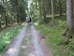 2012 008 pfingstritt hochdorf mai