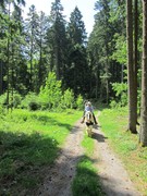 2012 009 pfingstritt hochdorf mai