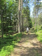 2012 012 pfingstritt hochdorf mai