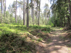 2012 013 pfingstritt hochdorf mai