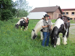 2012 017 pfingstritt hochdorf mai