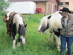 2012 018 pfingstritt hochdorf mai