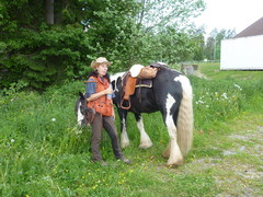2012 019 pfingstritt hochdorf mai