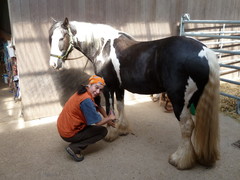 2012 020 pfingstritt hochdorf mai