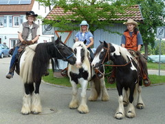 2012 023 pfingstritt hochdorf mai