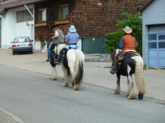2012 024 pfingstritt hochdorf mai
