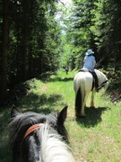 2012 025 pfingstritt hochdorf mai