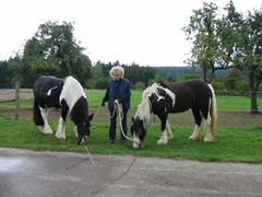 2005 hofsolana beuren 001 oktober
