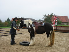 2005 hofsolana beuren 002 oktober