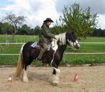 2005 hofsolana beuren 004 oktober