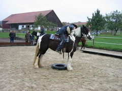 2005 hofsolana beuren 005 oktober