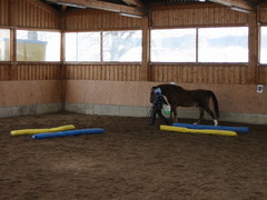 2006 001 geitner kurs februar