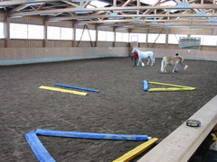 2006 002 geitner kurs februar
