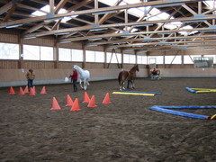 2006 003 geitner kurs februar