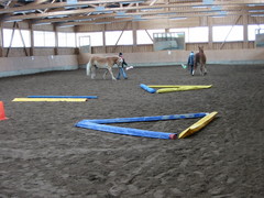 2006 004 geitner kurs februar