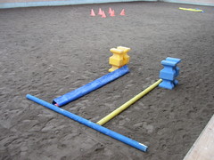 2006 005 geitner kurs februar