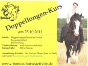 2011 dlk 021 flyer kopie
