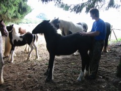 2005 005 forumstreffen magictinkerfarm september