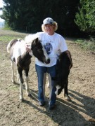 2005 009 forumstreffen magictinkerfarm september