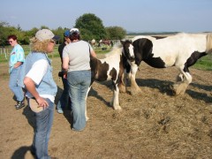 2005 012 forumstreffen magictinkerfarm september