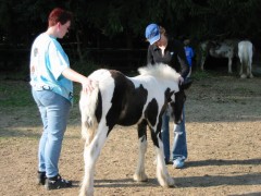 2005 013 forumstreffen magictinkerfarm september