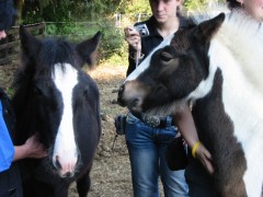 2005 014 forumstreffen magictinkerfarm september
