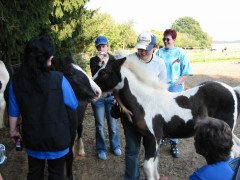 2005 015 forumstreffen magictinkerfarm september