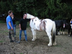 2005 016 forumstreffen magictinkerfarm september
