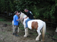 2005 018 forumstreffen magictinkerfarm september