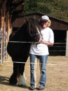 2005 020 forumstreffen magictinkerfarm september