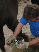 2005 023 forumstreffen magictinkerfarm september