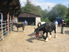 2005 028 forumstreffen magictinkerfarm september