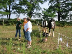 2006 013 tinkerweekend waldmohr juli