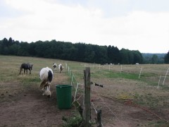 2006 017 tinkerweekend waldmohr juli