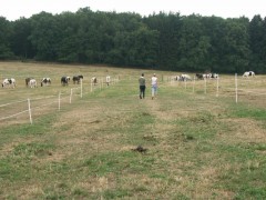 2006 019 tinkerweekend waldmohr juli