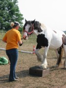 2006 031 tinkerweekend waldmohr juli