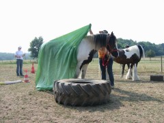 2006 032 tinkerweekend waldmohr juli
