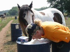 2006 033 tinkerweekend waldmohr juli