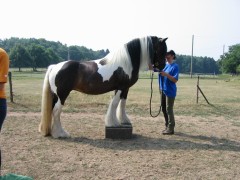 2006 034 tinkerweekend waldmohr juli