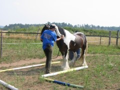 2006 036 tinkerweekend waldmohr juli