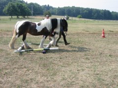 2006 037 tinkerweekend waldmohr juli