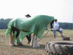 2006 038 tinkerweekend waldmohr juli