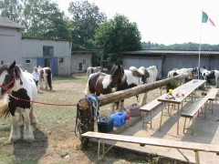 2006 038 tinkerweekend waldmohr juli
