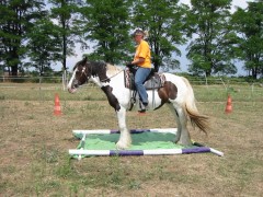 2006 038 tinkerweekend waldmohr juli