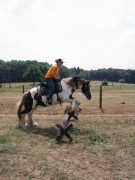 2006 067 tinkerweekend waldmohr juli
